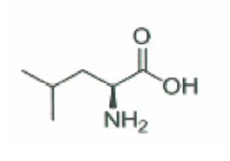 L-亮氨酸 L-Leucine（CAS NO.:61-90-5)