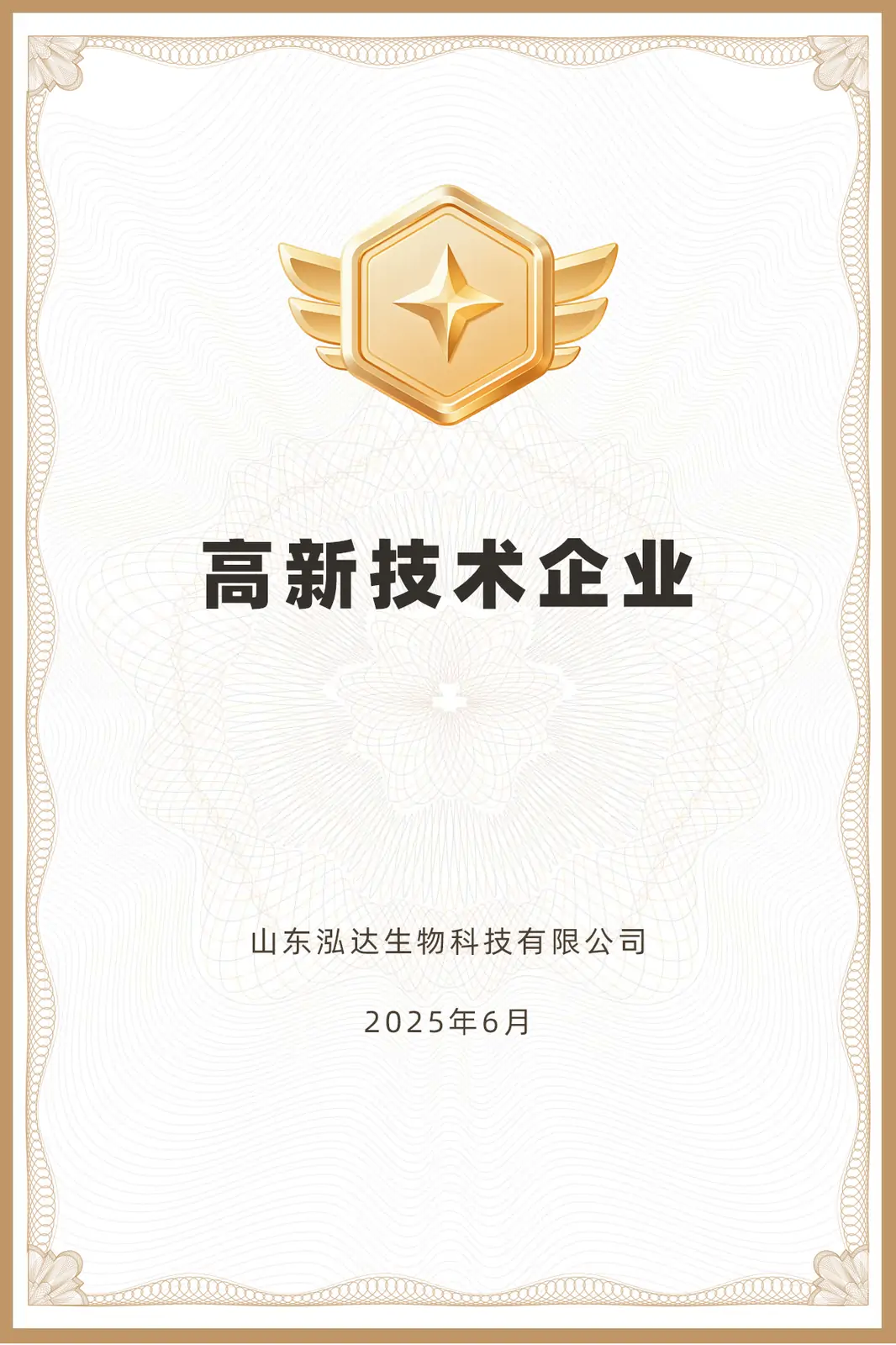 高新技术企业