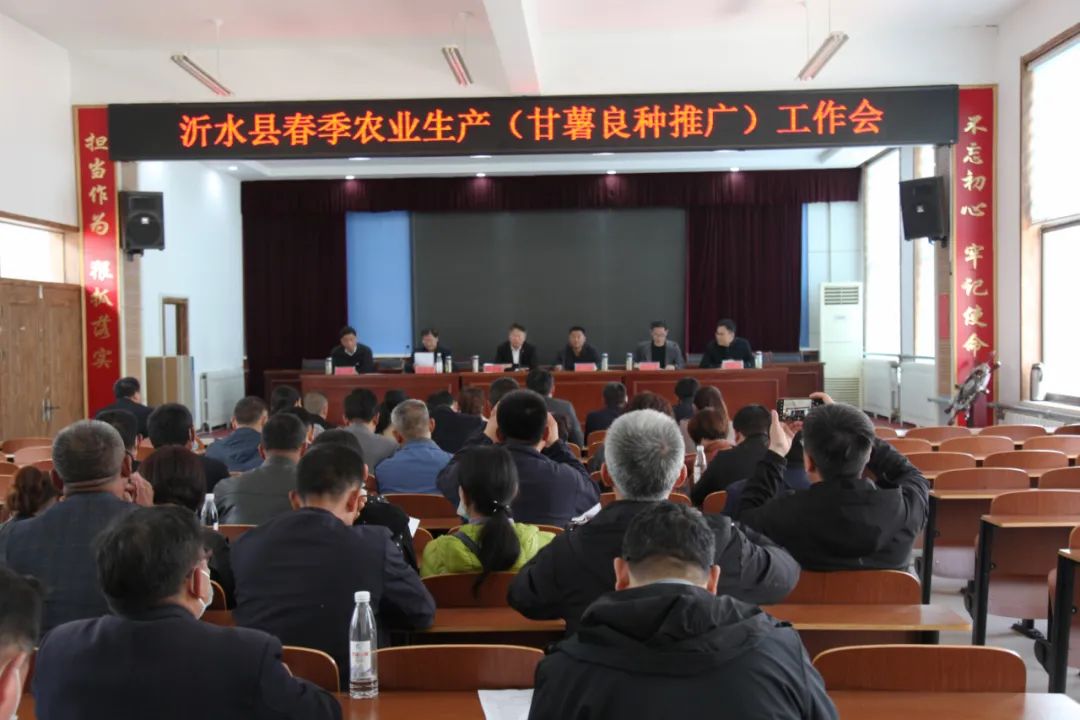 政府搭好台,我们唱好戏 | 小红薯做成大产业