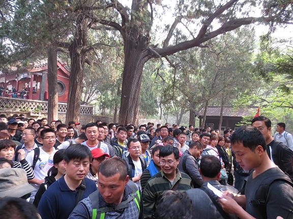 春意盎然，又是一年登山时