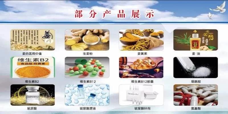 开工，投资20亿元！泓达生姜高效资源化综合利用项目盛大奠基