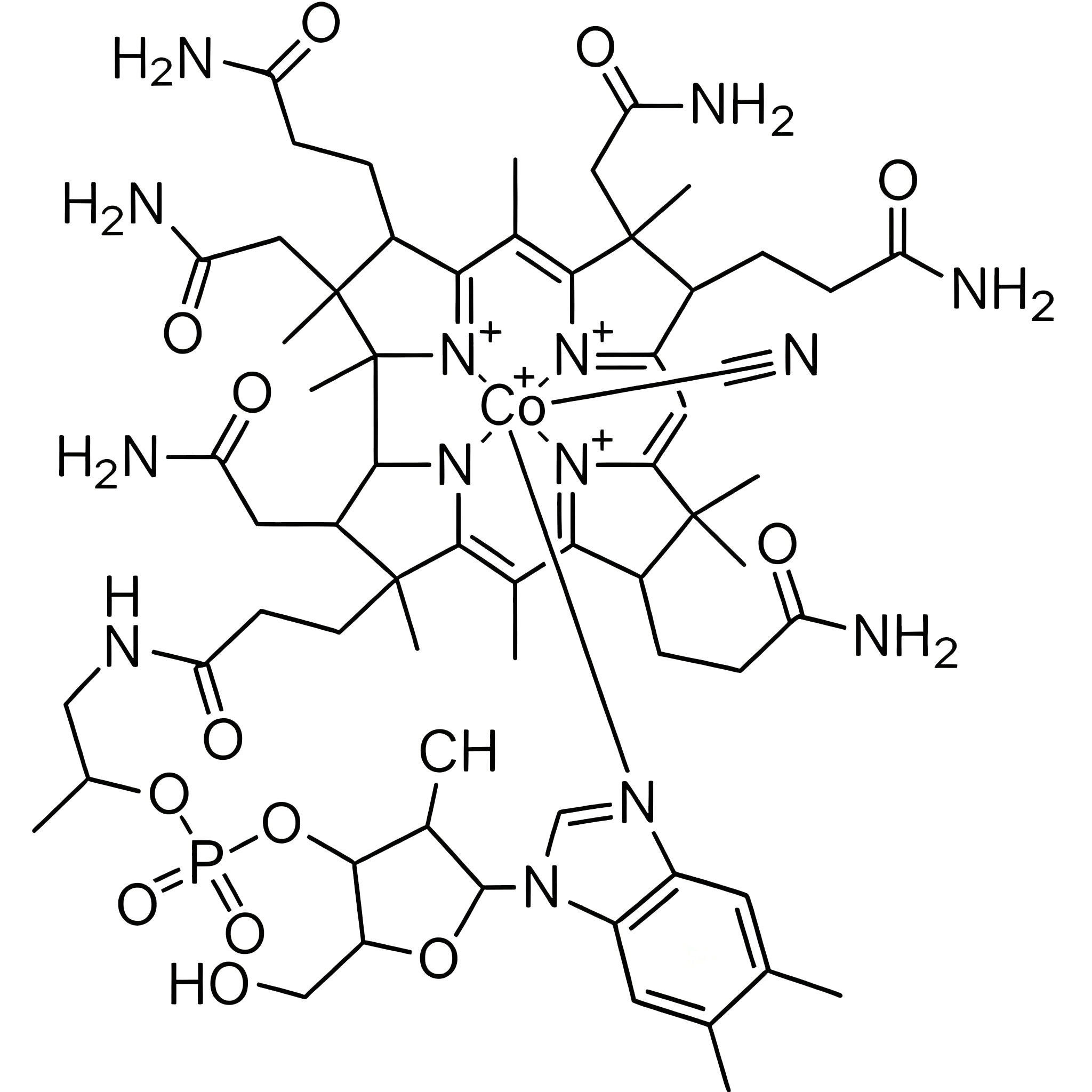 维生素B12（食品级）
